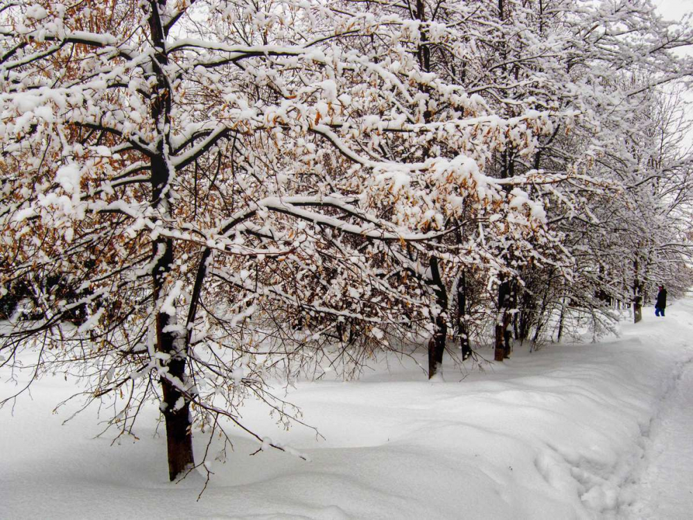 К Камышину подходит теплый снежный фронт