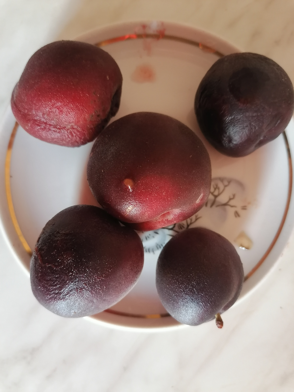 Камышанин похвалился оригинальными сочными плодами черного абрикоса