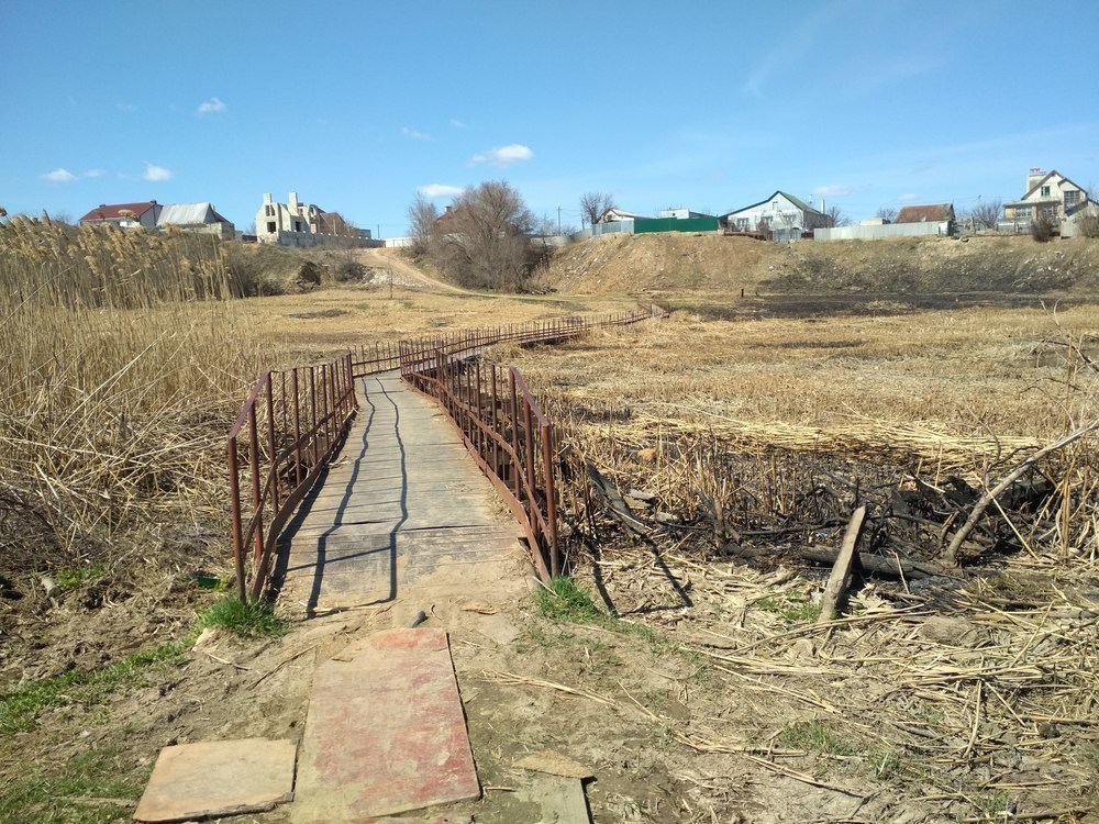 После ландшафтных пожаров в Камышине частично скосили тростник вдоль дороги через Кирпичный овраг