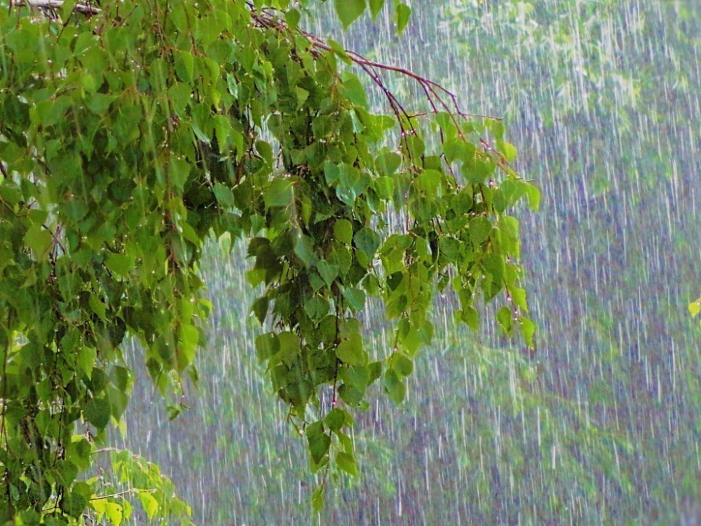 ГУ МЧС распространило предупреждение о надвигающейся буре с ливнями и градом, в том числе в Камышине
