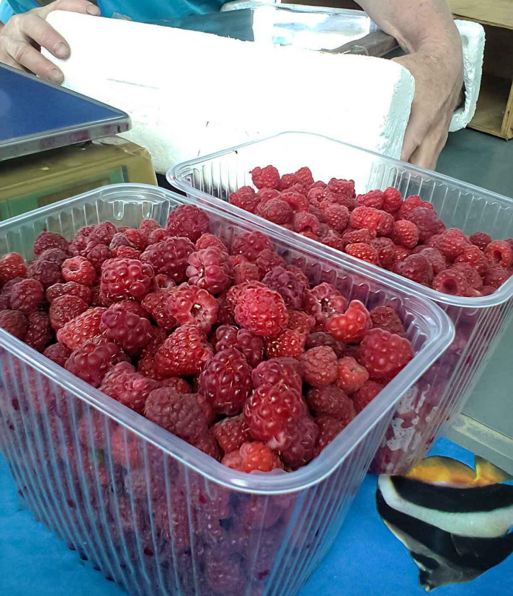 Роспотребнадзор предлагает жителям Волгоградской области налегать на фрукты и ягоды