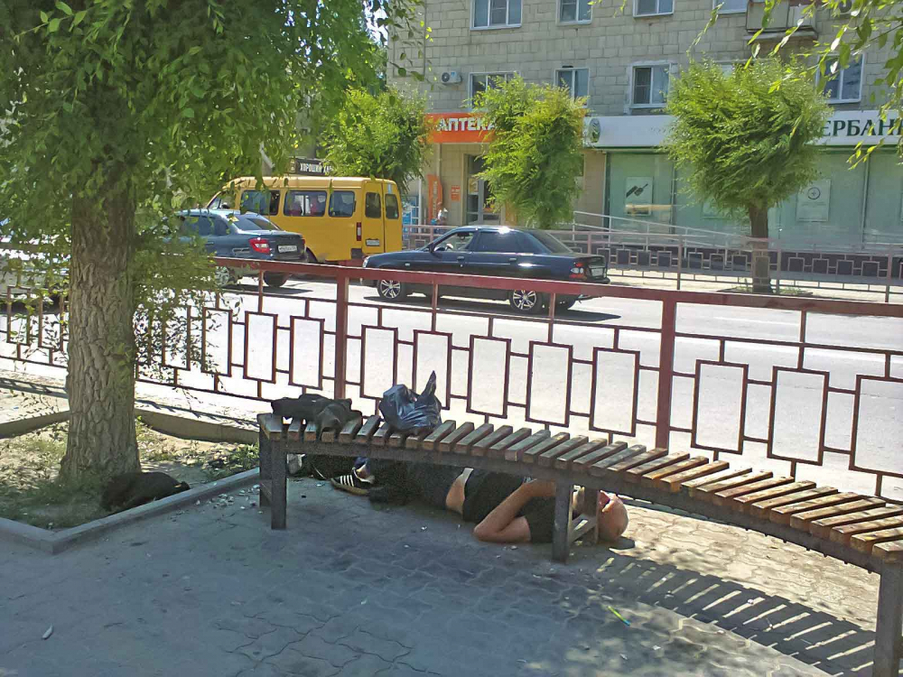 Опять товарищ «развалился» на улице Ленина на тихий час, и никто не обращает внимания! - камышанин