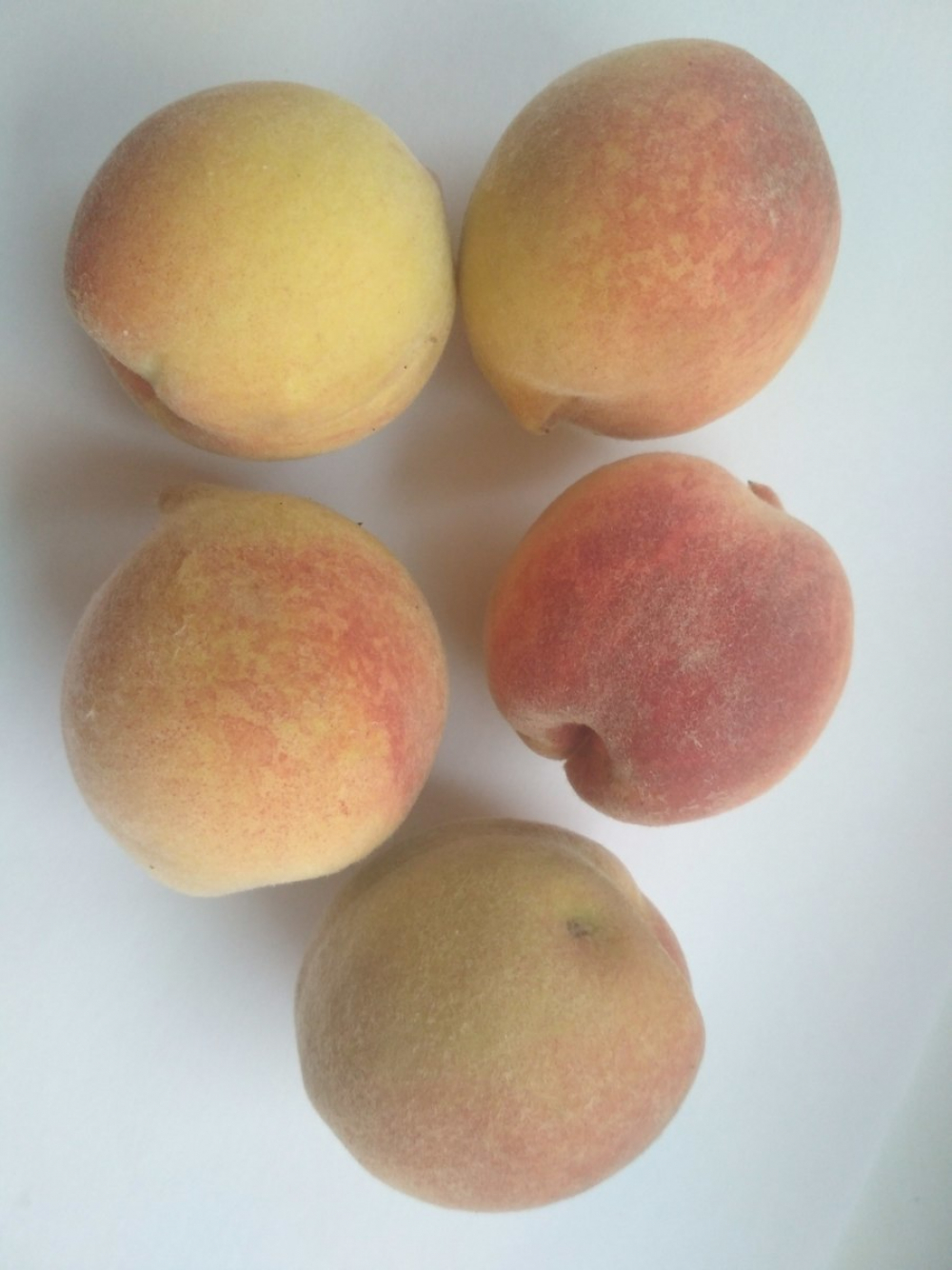 На камышинских рынках появились местные персики