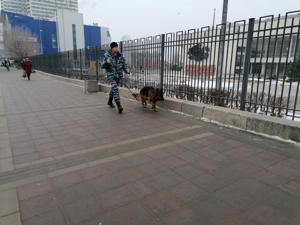 Центр Волгограда чистят со швабрами и обследуют с собаками к приезду Путина, - «Блокнот Волгограда» (ВИДЕО)