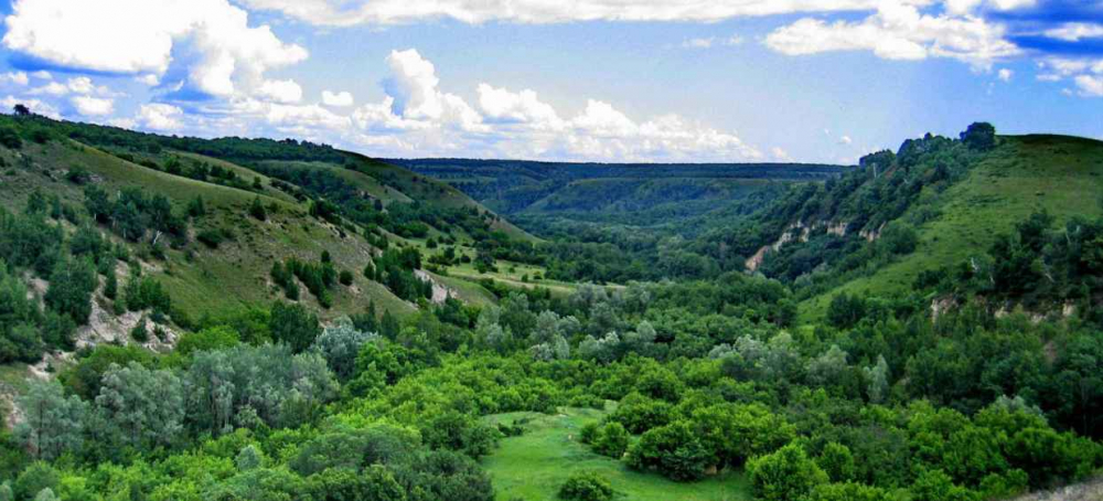 Щербаковский парк волгоградской области фото