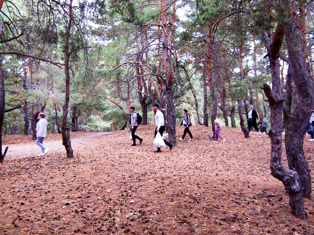 Камышане скучают по осеннему лесу и гуляют в нем, несмотря на запрет
