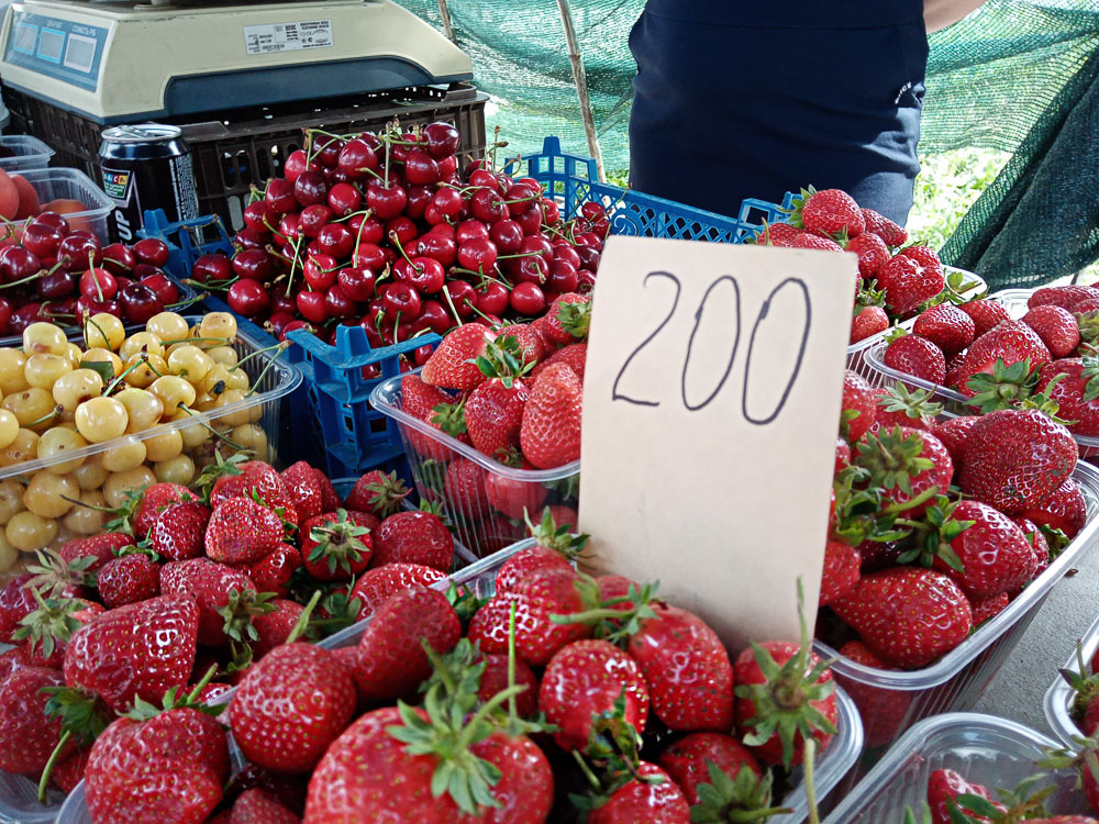 На камышинских рынках черешня обгоняет по цене клубнику почти вдвое