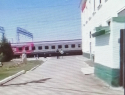 На станции Петров Вал Камышинского района 1 августа эвакуировали пассажиров поезда из-за угрозы о минировании (ВИДЕО)