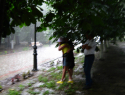 Сильный шторм накроет Волгоградскую область: срочное предупреждение распространило МЧС 