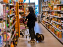 Почему в Камышине в магазинах собаки трутся около продуктов? - камышанин