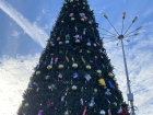 Администрация Камышина похвалилась новогодней елкой, которую она нарядила на Комсомольской площади