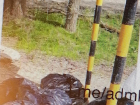 Администрация Камышина показала, сколько мешков мусора в честь субботника собрали у федеральной трассы