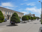 В Камышине обновили стрижки молодым деревьям на улице Октябрьской