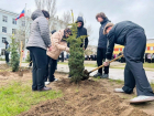 В Камышине у школы №8 высадили аллею в память о Герое России Данииле Ежове