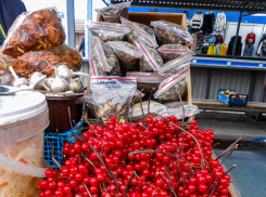 В Камышине днем ноль сегодня, а назавтра уже крепкий мороз: погодная повестка для камышан 23-34 декабря