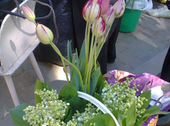 В Камышине букетик ландышей стоит втрое дороже, чем пучок щавеля