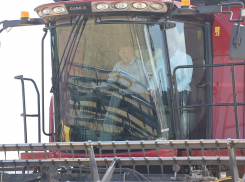 Губернатор Андрей Бочаров в поле обсудил первые итоги уборочной кампании и сел за руль комбайна