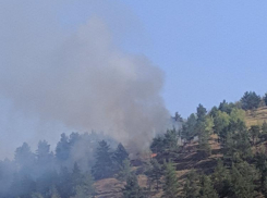 Под Камышином у села Торповка горит лес