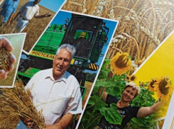 Камышинские журналисты выпустили красиво оформленную книгу «Радуга над полями»