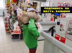 Камышане умилились и возмутились из-за присутствия кота в продуктовом магазине «верхом» на хозяйке