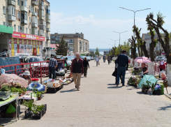 В Камышине проверяющие нагрянули на стихийный рынок на улице Ленина 