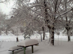 Морозная и туманная пауза между метелями окажется в Камышине недолгой: до выходных