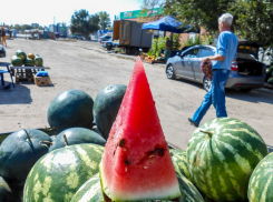 Свежо и солнечно: погода в Камышине 10 сентября