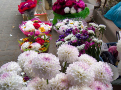 Утренний дождь и долгожданное похолодание: погода в Камышине 22 августа