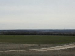  Похолодания в Камышине могут негативно сказаться на состоянии озимных сельскохозяйственных культур