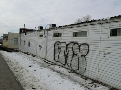 «Когда глава Зинченко хвалился по телевизору на Новый год улицей Терешковой, он видел, какая «красота» у нее на «задворках»?» - камышанин