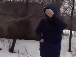 Волгоградскую школу атаковал извращенец-эксгибиционист (ВИДЕО)