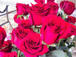 В Камышине сегодня, 18 октября, похоронят героя СВО Михаила Колебаева