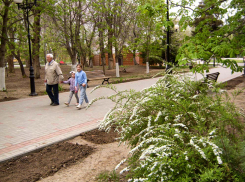 Озвучен график выплаты пенсий на майских праздниках в Волгоградской области, в том числе в Камышине
