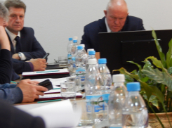 С камышинскими чиновниками губернатор решил соединиться по видеосвязи, чтобы лучше их «рассмотреть»