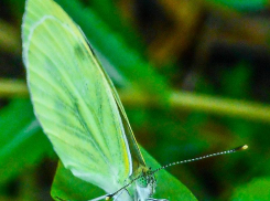 Солнечно, но геомагнитный фон «подводит»: погодная повестка для камышан на 13 августа