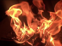 В Камышине в 11 квартале вновь хозяйничал огонь