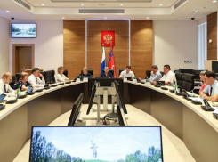 Депутаты Волгоградской областной думы по случаю 30-летия регионального парламента решили снять про себя кино