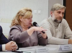  «Что понимает старейшая журналистка Камышина в ботах», и чего в них не понимает «гусар» полемики, камышинский публицист-любитель