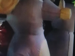 Камышан на улицах развеселили ростовые куклы в новогоднюю ночь (ВИДЕО)