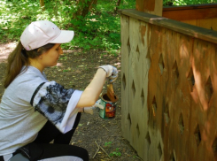 В Камышинском районе в природном парке «Щербаковский» к лету привели в порядок «зеленые стоянки» и туристские тропы