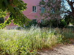 В Камышине на улице Титова «с неба» на мужчину во дворе рухнула женщина