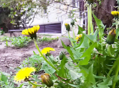 В Камышине вторые сутки сидит без воды частный сектор 28-го квартала, людям привезли бочку с питьевой водой и поставили неизвестно где