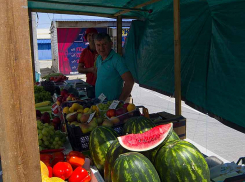 В Камышине покупатели с осторожностью относятся к ранним арбузам