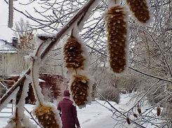 Туман, мокрый снег и гололед придут на выходных в Камышин