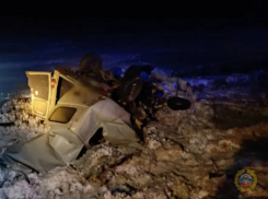 Суд отправил под стражу виновника аварии с семью погибшими в Волгоградской области