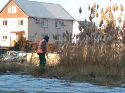 В Камышине продолжается зимний покос зарослей камыша