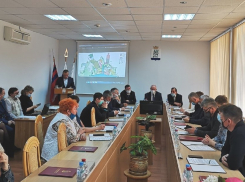 В Камышинской городской думе, по данным деклараций за 2020 год, половина депутатов оказались миллионерами