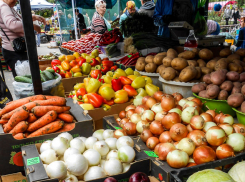 В Камышине лук и огурцы сравнялись в цене