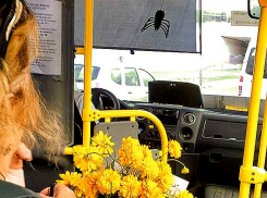 Камышанам 17 августа «перепадает» относительно комфортный день с максимальной температурой +29