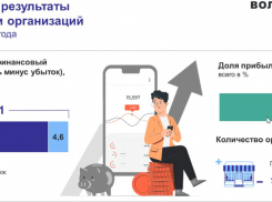 Доля убыточных предприятий составила 35% в Волгоградской области, - «Блокнот Волгограда»